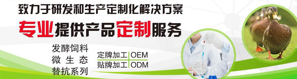 招商加盟 招商加盟